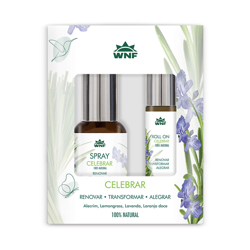 Kit-Celebrar--Loja-